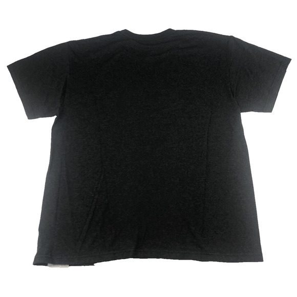 NFL Denver Broncos Mens T Shirt NFL Football Team Apparel Size Large Gray Orange - Picture 6 of 7